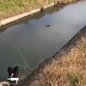 遭遇～の画像