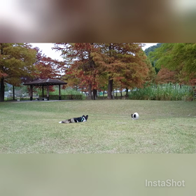 対決～の画像