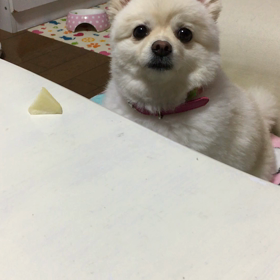 何故かの画像