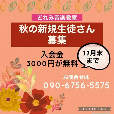 秋の新規生徒さん募集❣️の記事動画