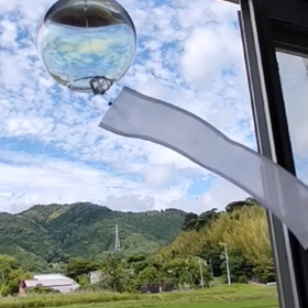 のぞみの画像