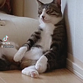2022/06/19の画像