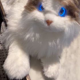 2024/03/02の画像