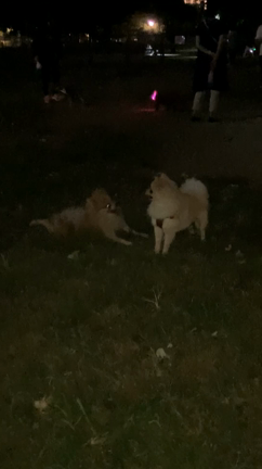 かずくんの休日の記事動画