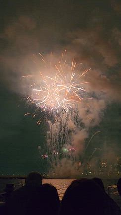 なにわ淀川花火大会2025に行ってきました♪の記事動画