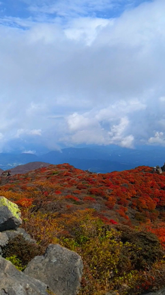 2023紅葉　大船山へのリベンジの記事動画