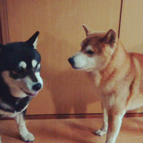 今日は、ふたりっきりでの画像