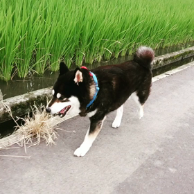 ひとり旅！？の画像