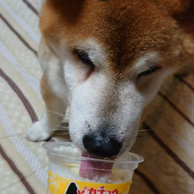美味しかったかな？の画像