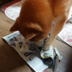 快感！の画像