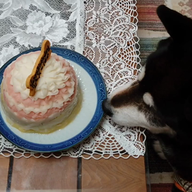 バースデーケーキの画像