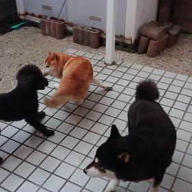 くるくるくる～の画像