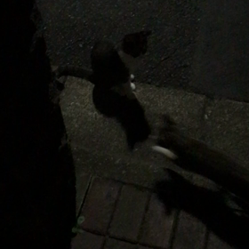 わたしの夜の世界の画像