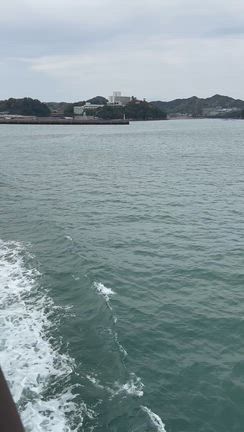 伊勢の旅❼【END】伊勢湾フェリーと浜松餃子♡の記事動画