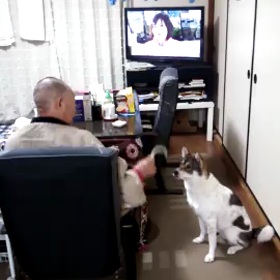 今年もお世話になりましたの画像