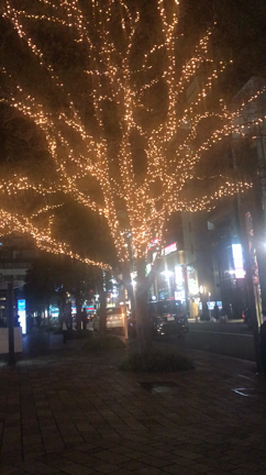 年末感の記事動画