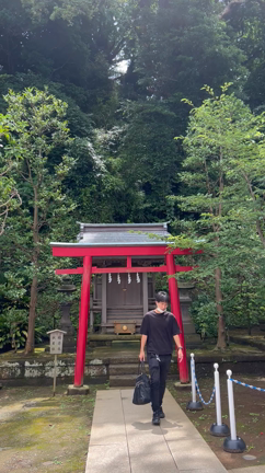 やっと龍神様が会ってくださいました✨江ノ島龍神の巻の記事動画