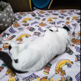 珍しくの画像