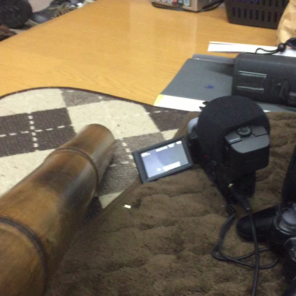 にゅーぎあの記事動画