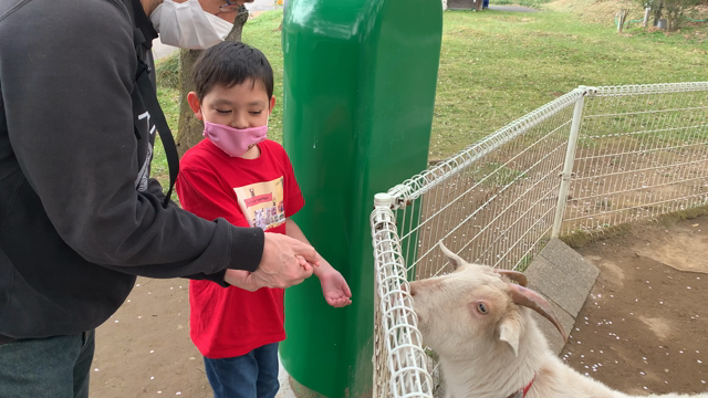絶対リピート決定の遊園地見つけた！の記事動画
