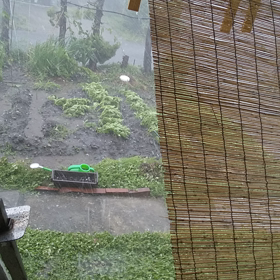 氷が！の画像