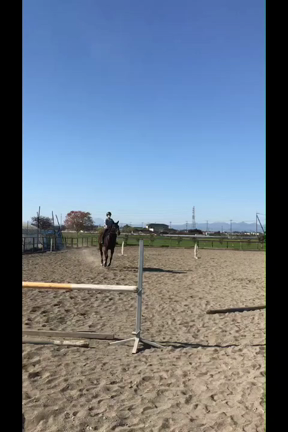 更新お待たせ致しました！の記事動画