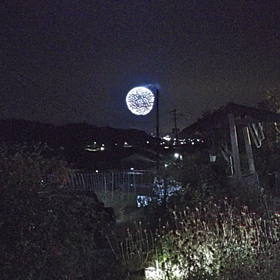 護身術についての画像