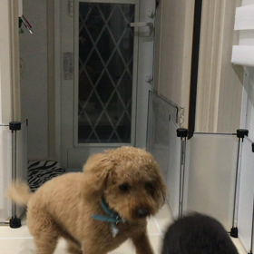 ぱぱさんの画像