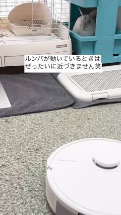ウワサの、７月５日がやってきましたね。の記事動画