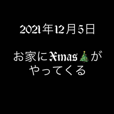 １１月は、○○づくし！の記事動画
