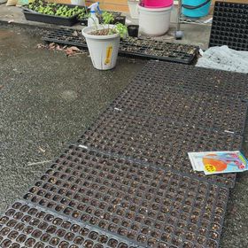 農家さん頑張って！素人頑張るの画像