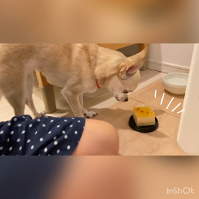 お誕生日おめでとう❤️の画像