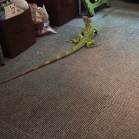 のそのそがこんなに似合う子初めて見たの画像