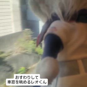 2026/08/25の画像