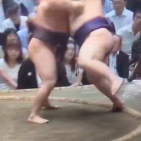 2026/09/19秋場所6日目取組からの画像