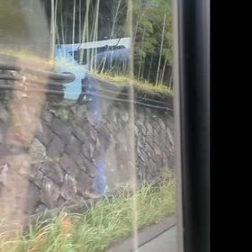 2026/09/05の画像