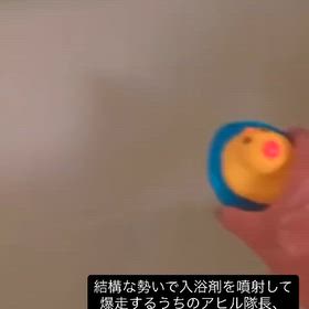 2026/09/17の画像