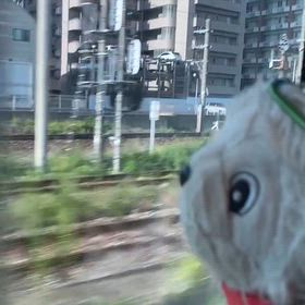 2026/09/24の画像
