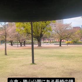 2026/04/15の画像
