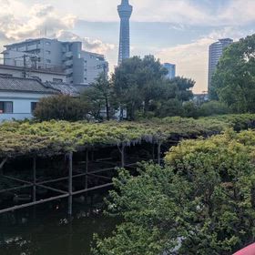 2026/04/20の画像