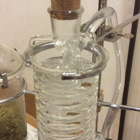 同じ見るのでも、本物はすごいんです。の画像