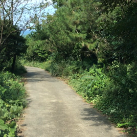 ハイパーサーミアの画像