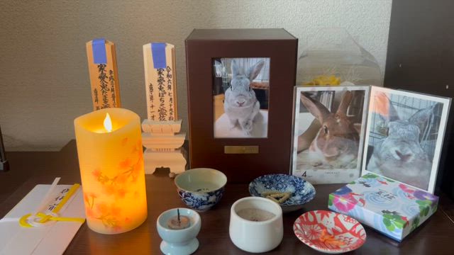お盆に買ったモノの記事動画