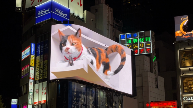 新宿の猫の立体広告、可愛い♪の記事動画