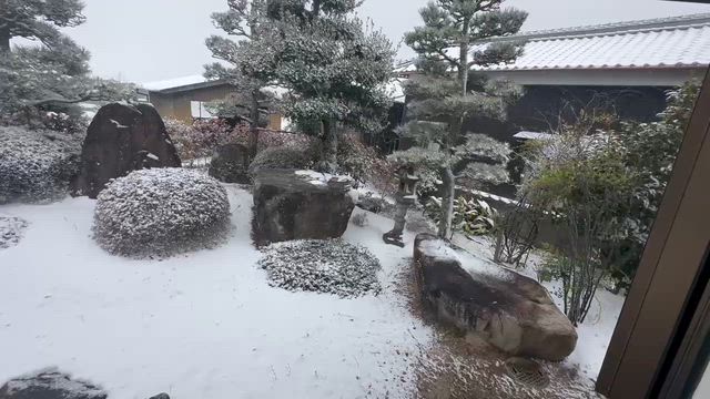 雪が降ったよー‼️の記事動画