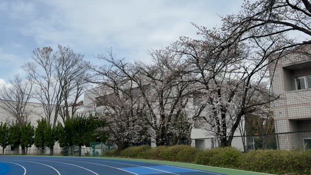 2024年度　新入生の意気込み！！の記事動画