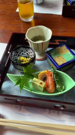 クリスの目をとおして.......の記事動画