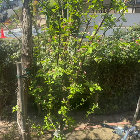 更年育児の画像