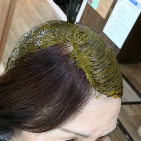 はえてきた白髪をしっかり染めるコツの画像