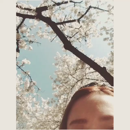 ぎょえん。の記事動画